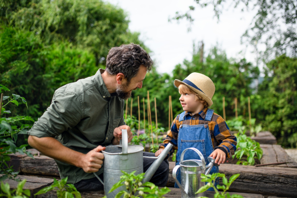 Portrait of small boy with father gardening on farm, growing organic vegetables.