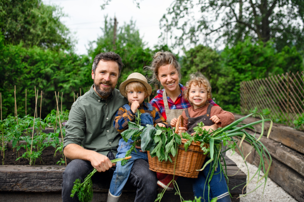 Happy family with small children gardening on farm, growing organic vegetables.