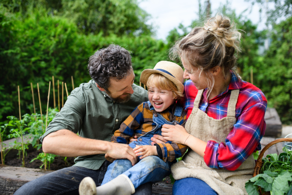 Happy family with small child having fun when gardening on farm, growing organic vegetables.