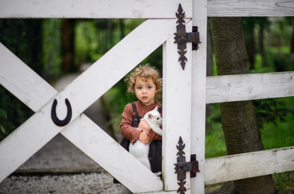 Portrait of small girl with cat standing on farm, looking at camera.