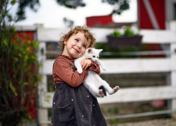 Portrait of small girl with cat standing on farm, looking at camera.