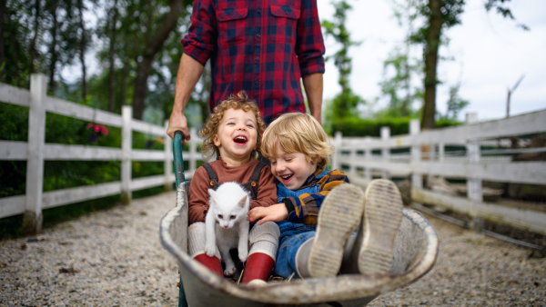 Unrecognizable father pushing cheerful small children in wheelbarrow on farm.