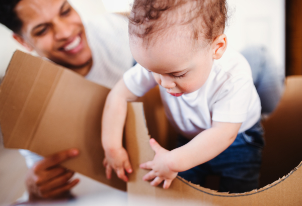 Cheeful father and small toddler son indoors at home, playing.