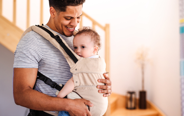 A father with small toddler son in carrier standing indoors at home.