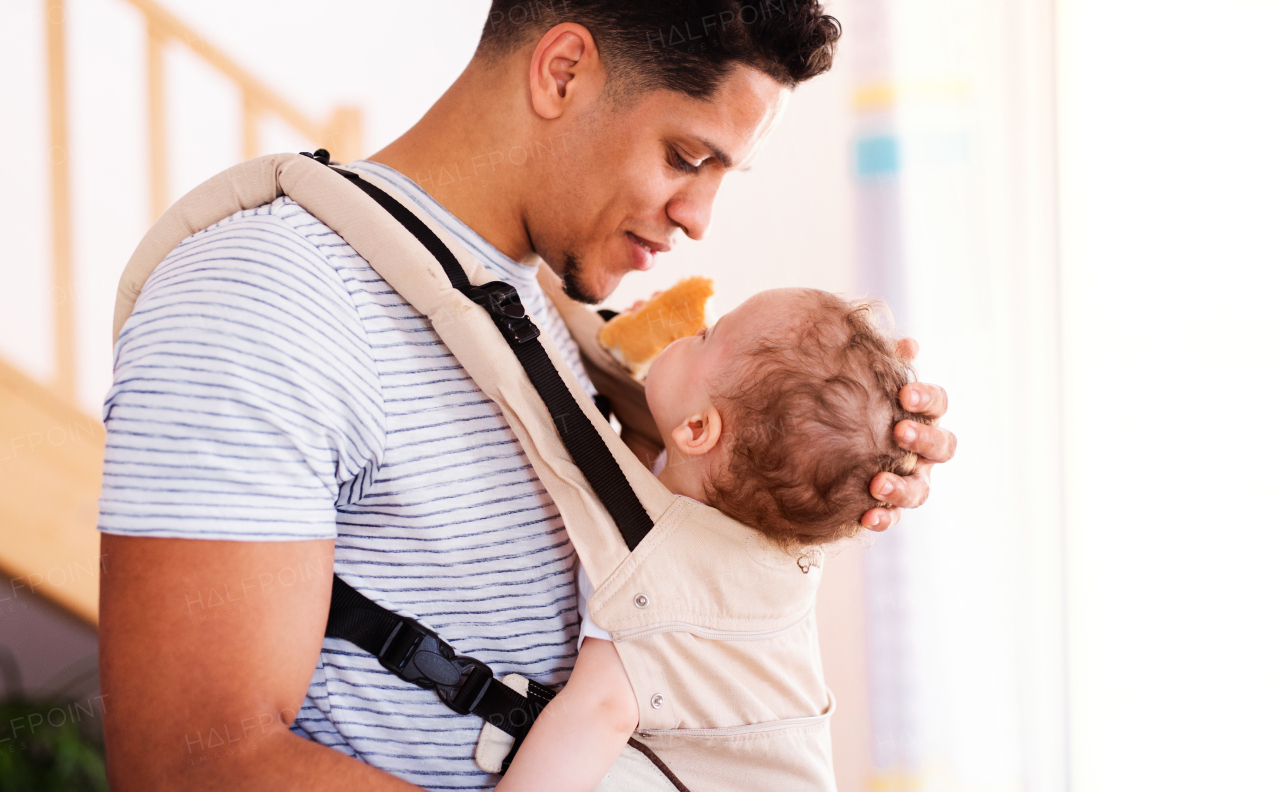 A father with small toddler son in carrier indoors at home, having fun.