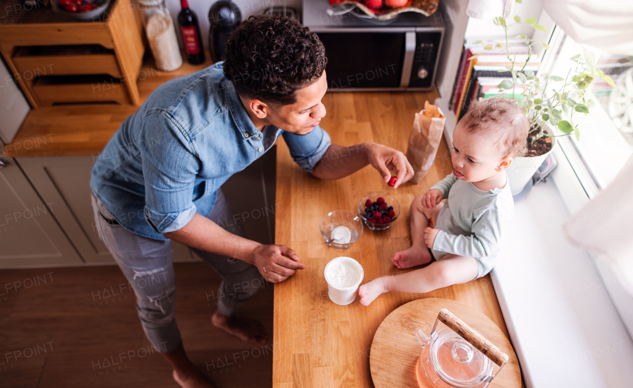 A top view of father and a small toddler son eating fruit and yoghurt in kitchen indoors at home.