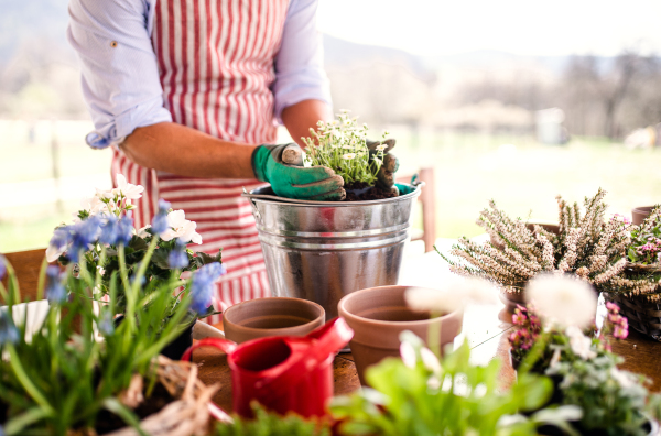 A midsection of unrecognizable young man gardener outdoors at home, planting flowers.