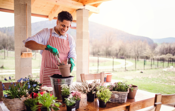 A portrait of young cheerful man gardener outdoors at home, planting flowers.