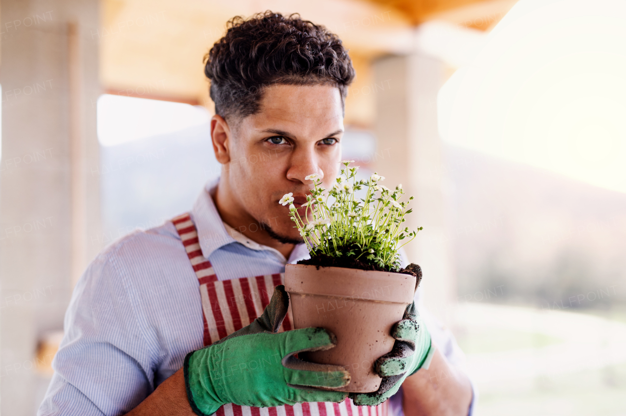 A portrait of young cheerful man gardener indoors at home, planting flowers.