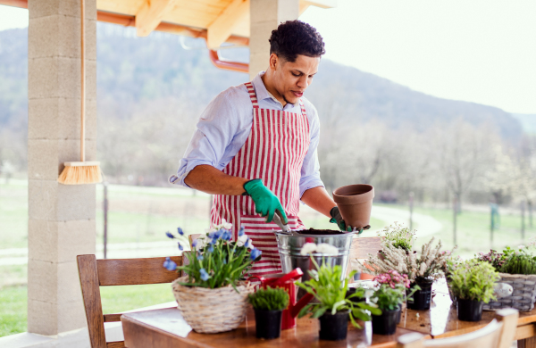 A portrait of young cheerful man gardener outdoors at home, planting flowers.