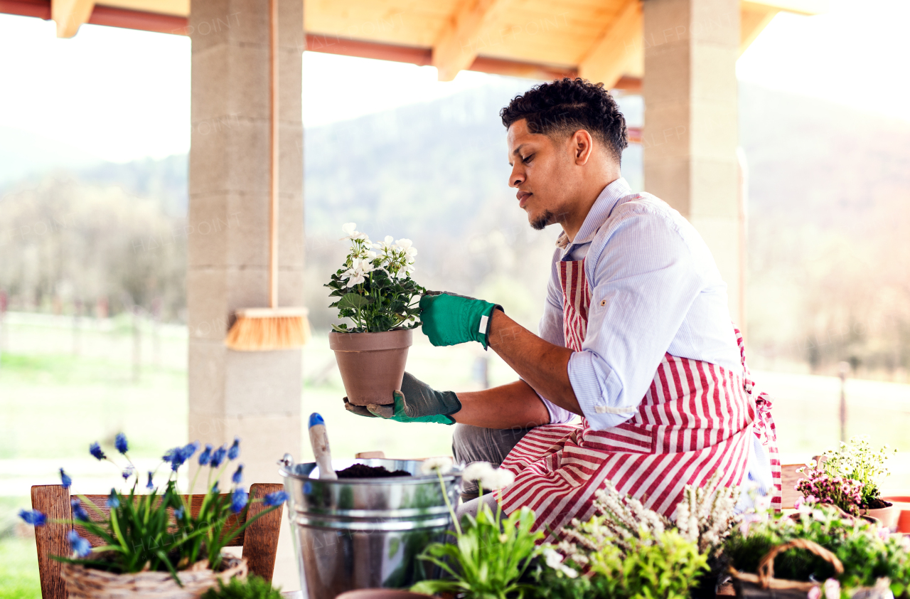 A portrait of young cheerful man gardener outdoors at home, planting flowers.