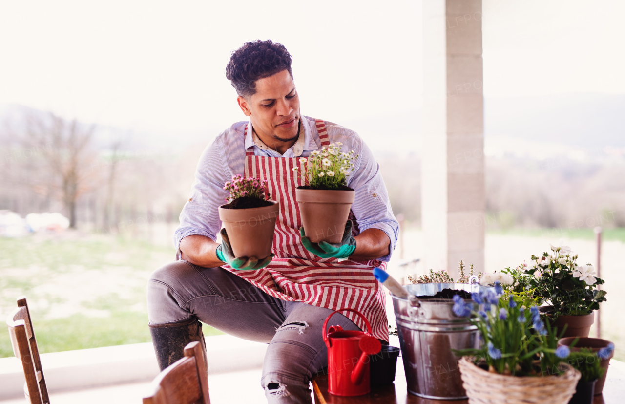 A portrait of young cheerful man gardener indoors at home, planting flowers.