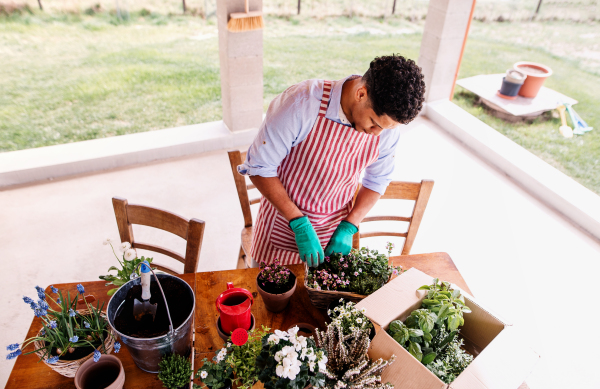 A top view of young cheerful man gardener outdoors at home, planting flowers.