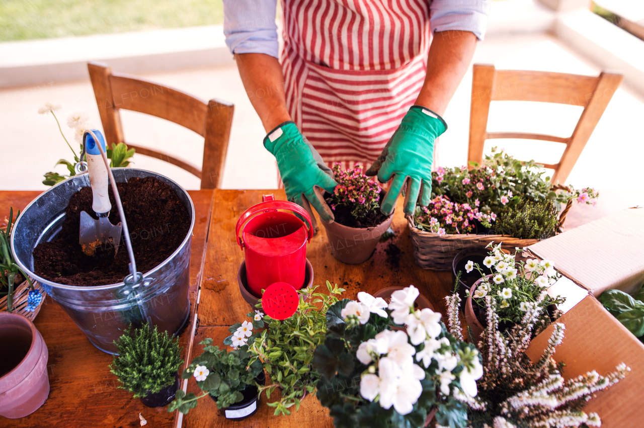 A midsection of unrecognizable young man gardener outdoors at home, planting flowers.