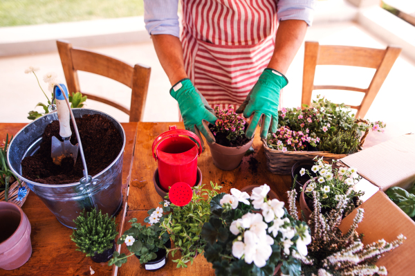 A midsection of unrecognizable young man gardener outdoors at home, planting flowers.