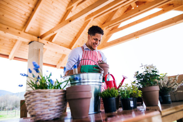 A portrait of young cheerful man gardener outdoors at home, planting flowers.