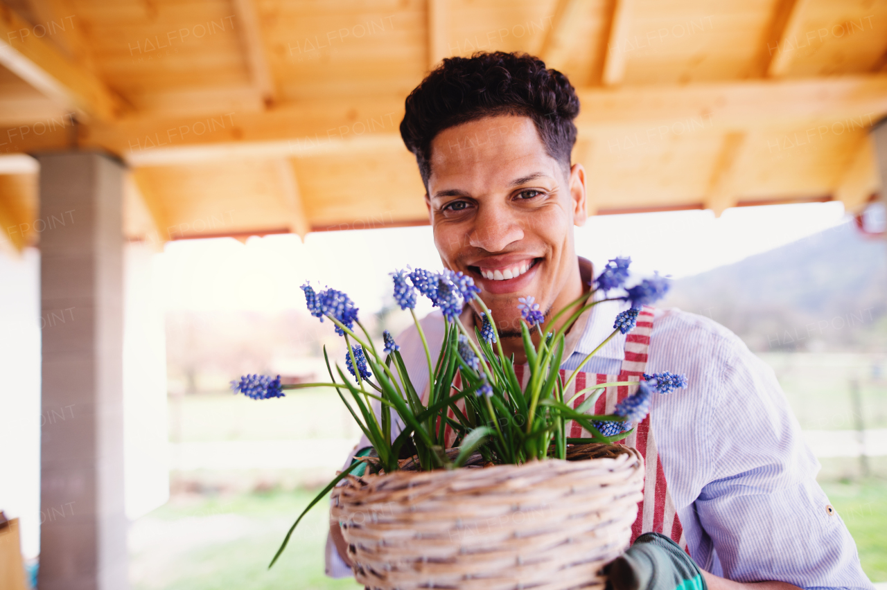 A portrait of young cheerful man gardener indoors at home, planting flowers.