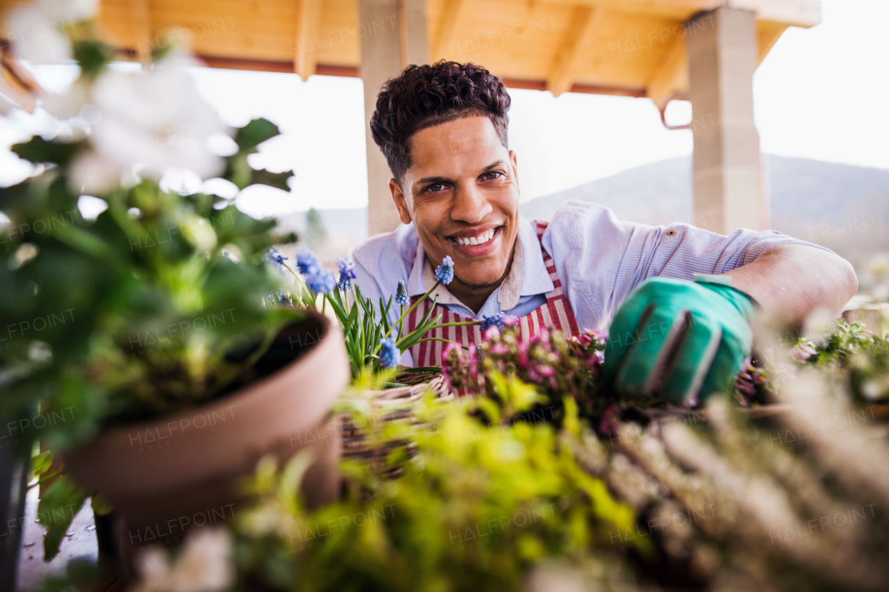 A portrait of young cheerful man gardener outdoors at home, planting flowers.