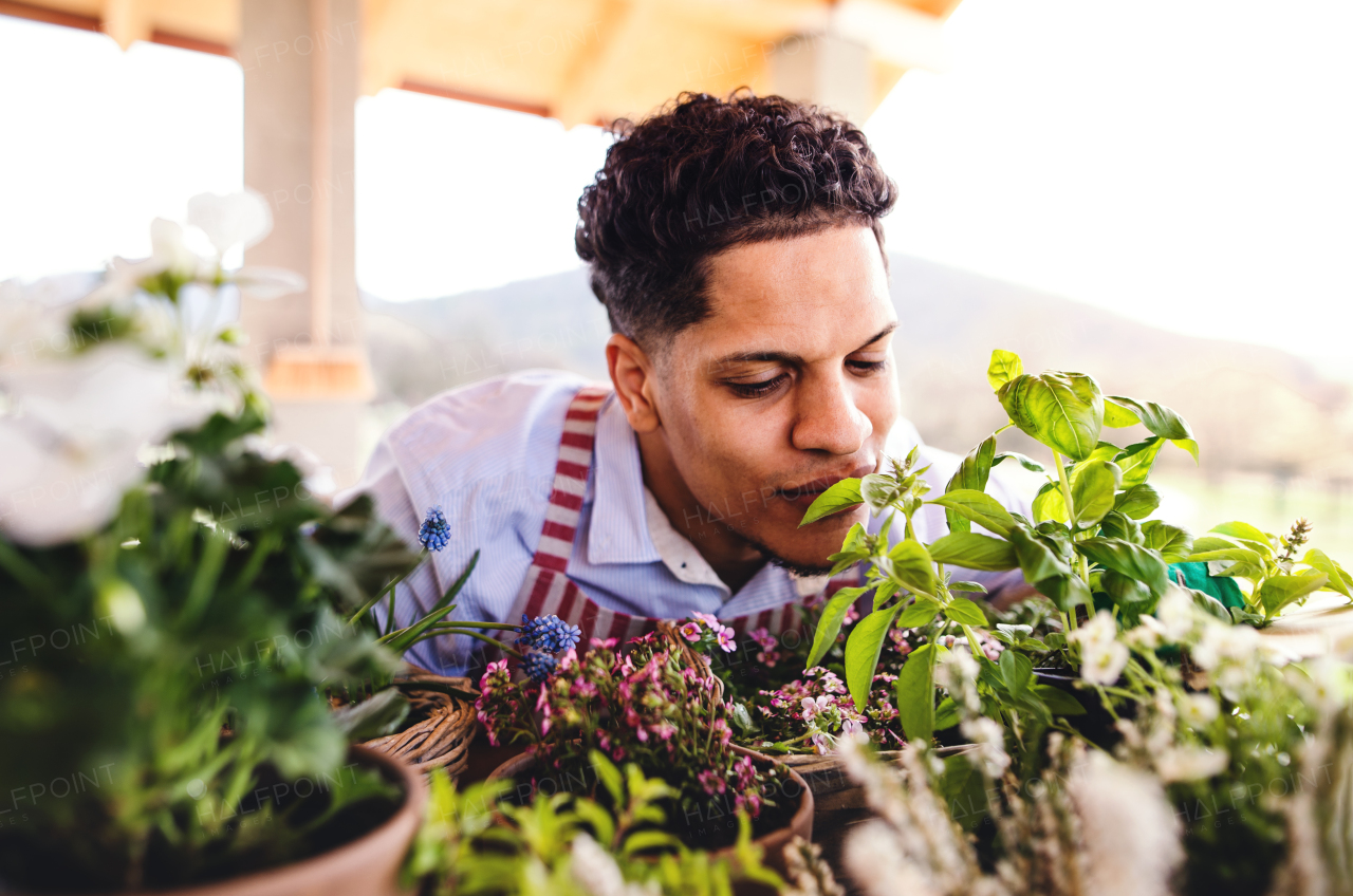 A front view of young cheerful man gardener outdoors at home, planting flowers.