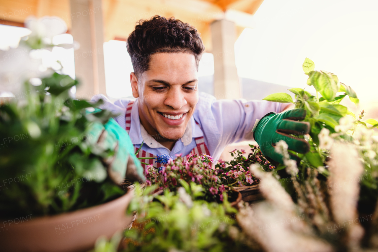 A portrait of young cheerful man gardener outdoors at home, planting flowers.