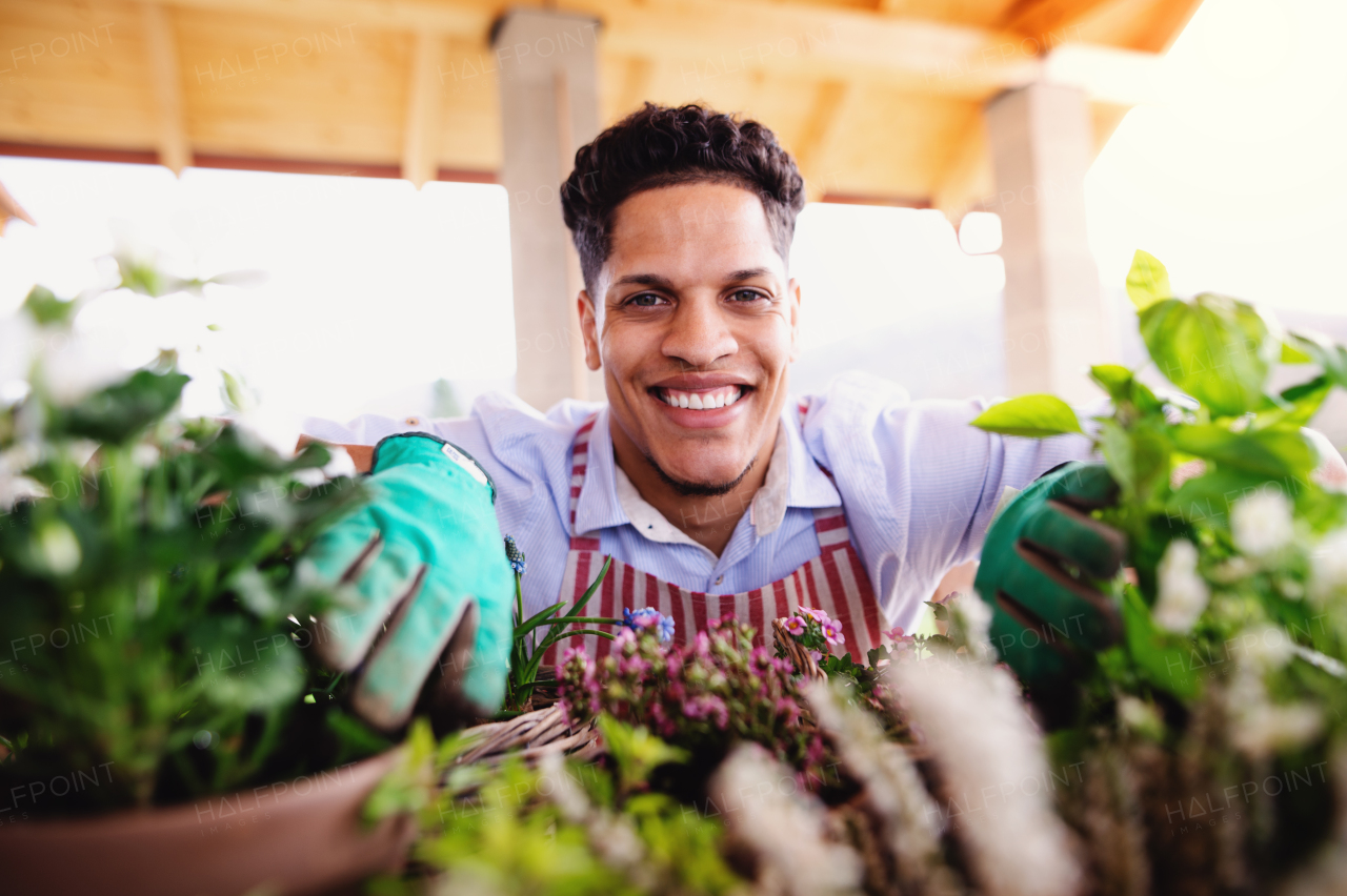 A portrait of young cheerful man gardener indoors at home, planting flowers.