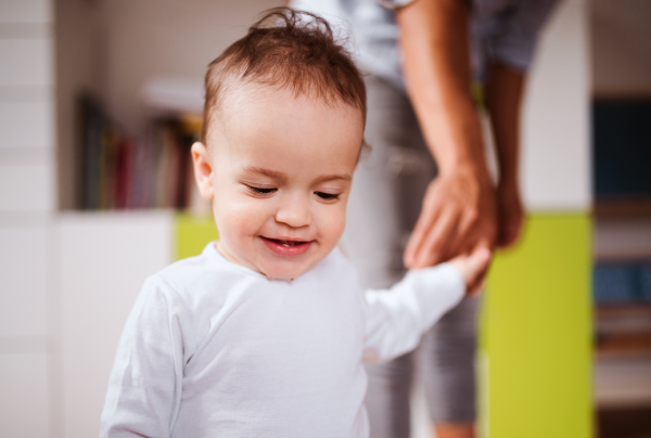 Portrait of young small toddler boy with unrecognizable parent indoors at home, walking.