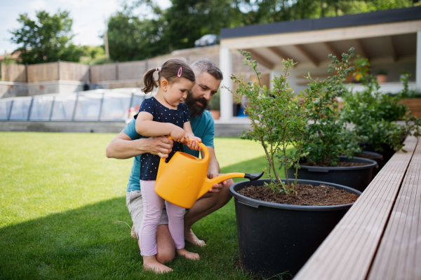 A father and small daughter outdoors in tha backyard, watering plants.