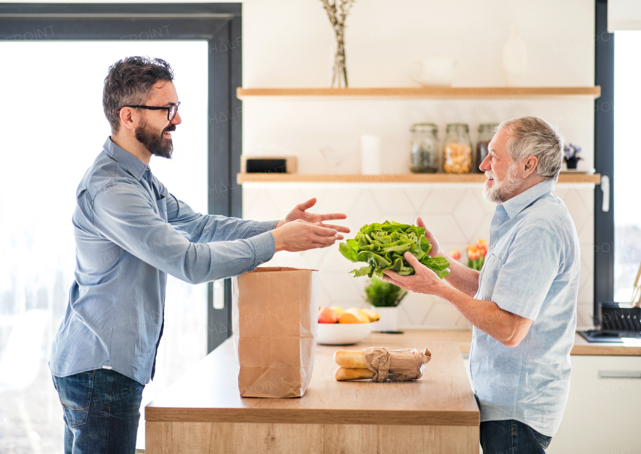 A cheerful adult hipster son and senior father indoors in kitchen at home, unpacking shopping.