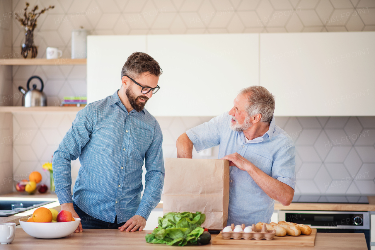 A cheerful adult hipster son and senior father indoors in kitchen at home, unpacking shopping.