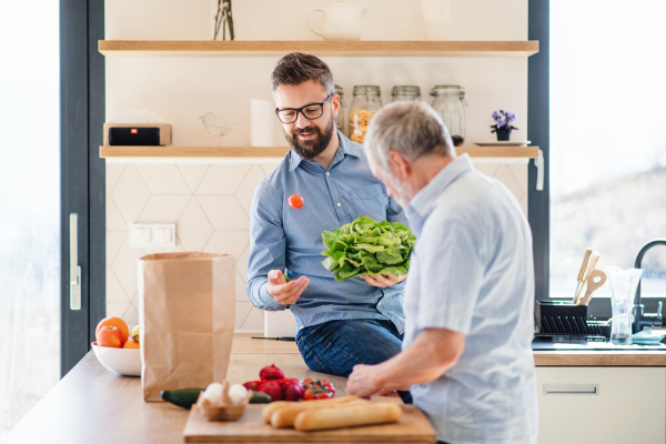 A cheerful adult hipster son and senior father indoors in kitchen at home, unpacking shopping.