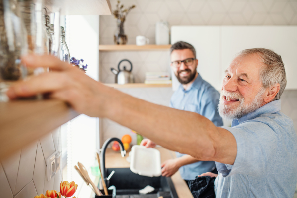 An adult hipster son and senior father indoors in kitchen at home, washing dishes.