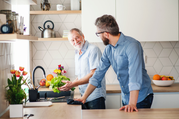 An adult hipster son and senior father indoors in kitchen at home, washing vegetables and preparing salad.