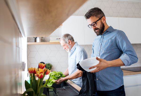 An adult hipster son and senior father indoors in kitchen at home, washing vegetables and dishes.