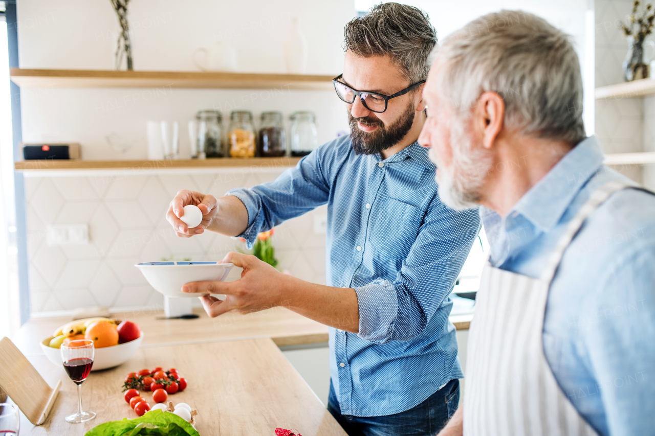 An adult hipster son and senior father indoors in kitchen at home, cooking.