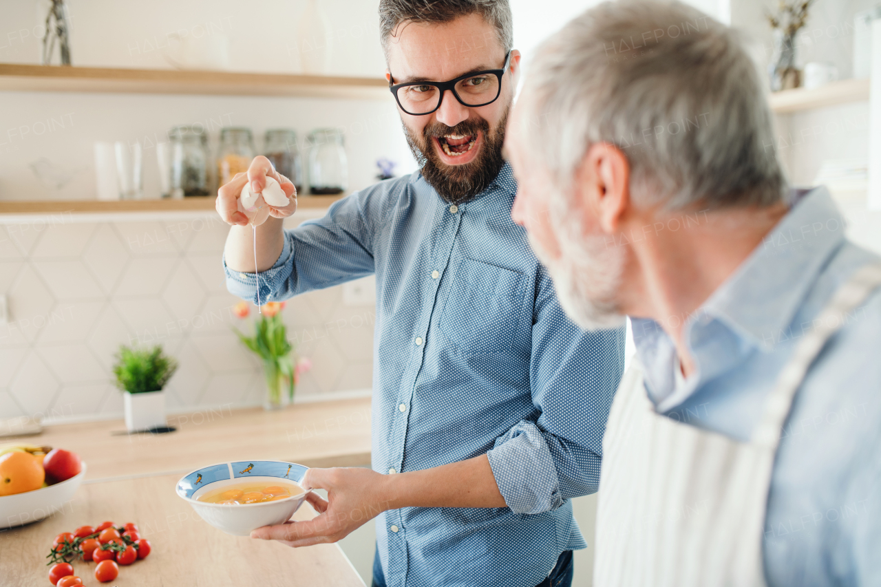 An adult hipster son and senior father indoors in kitchen at home, cooking.