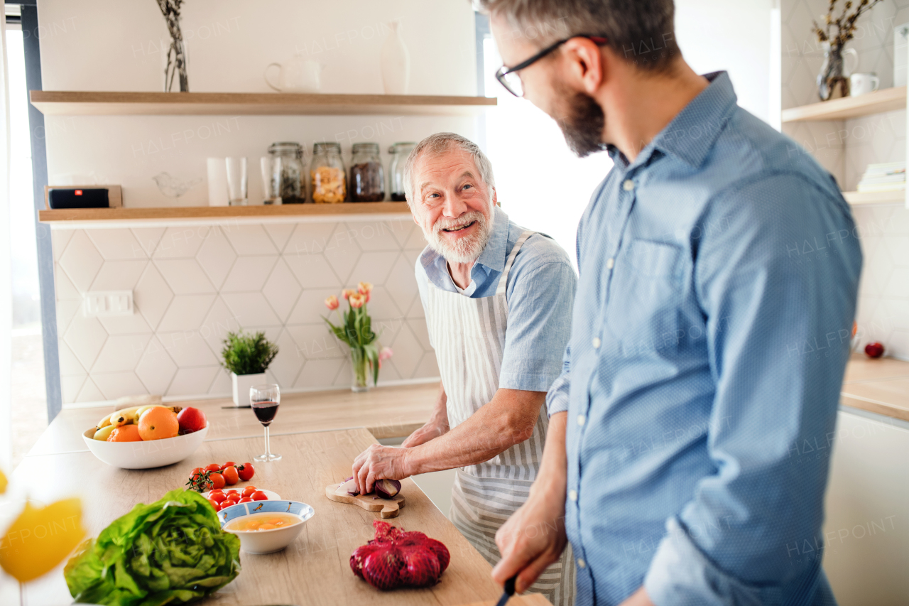 An adult hipster son and senior father indoors in kitchen at home, cooking.