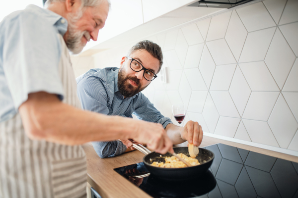 An adult hipster son and senior father indoors in kitchen at home, cooking.