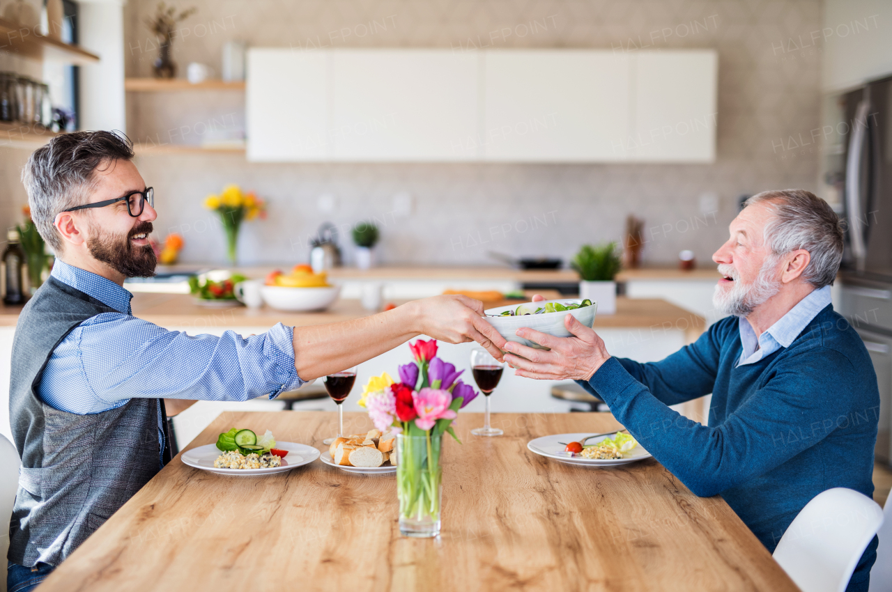 Adult hipster son and senior father sitting at the table indoors at home, having lunch.