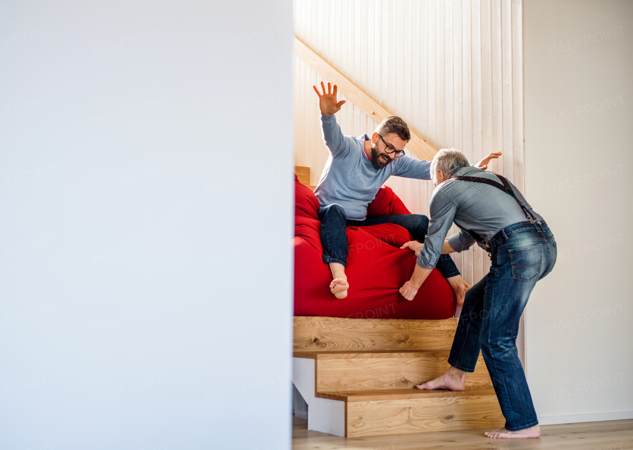 An adult hipster son and senior father sliding on stairs indoors at home, having fun.