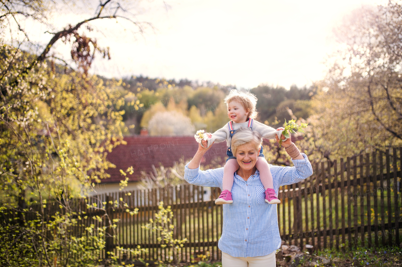 Senior grandmother with toddler granddaughter standing in nature in spring, giving piggyback ride.