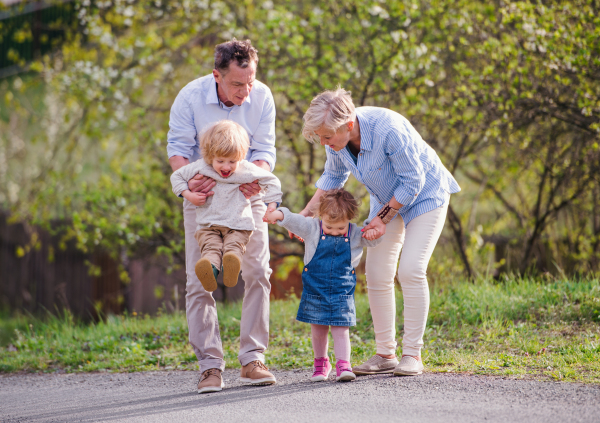 Senior grandparents with toddler grandchildren walking in nature in spring, holding hands.