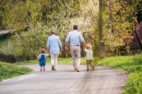 Senior grandparents with toddler grandchildren walking on road in spring, holding hands.