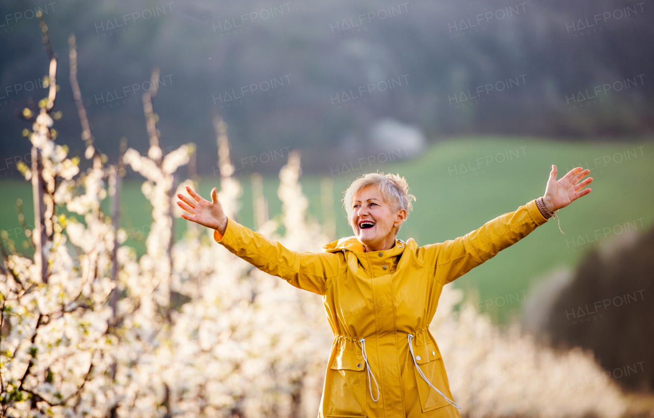 Front view of senior woman standing in orchard in spring. Copy space.