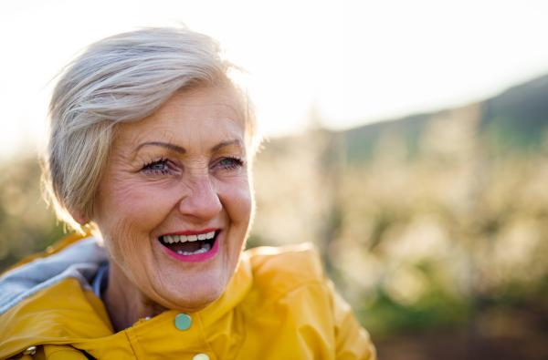 A close-up of senior woman in orchard in spring, laughing. Copy space.