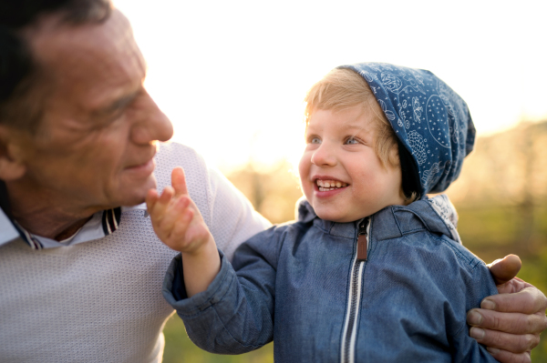 Senior grandfather with toddler grandson standing in nature in spring, having fun.