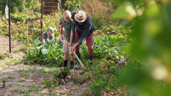 Grandparents with grandchildren working in a garden together.