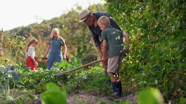 Grandparents with grandchildren working in a garden together.