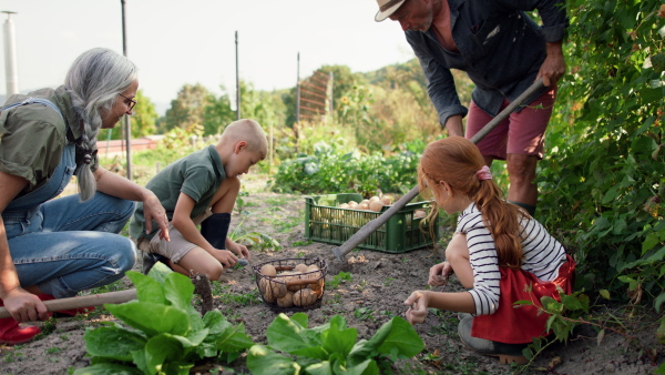 Grandparents with grandchildren working in a garden together.