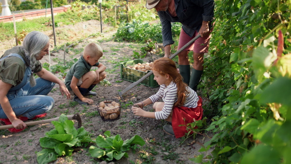 Grandparents with grandchildren working in a garden together.