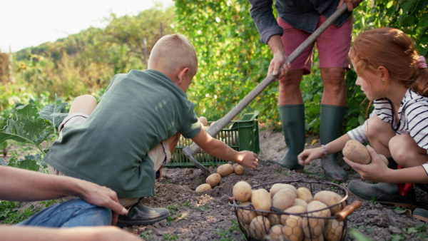 Grandparents with grandchildren working in a garden together.